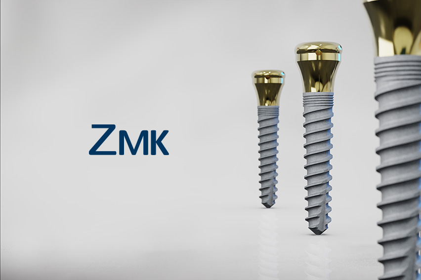 ZMK a tres en+Logo_web ZMK con logo