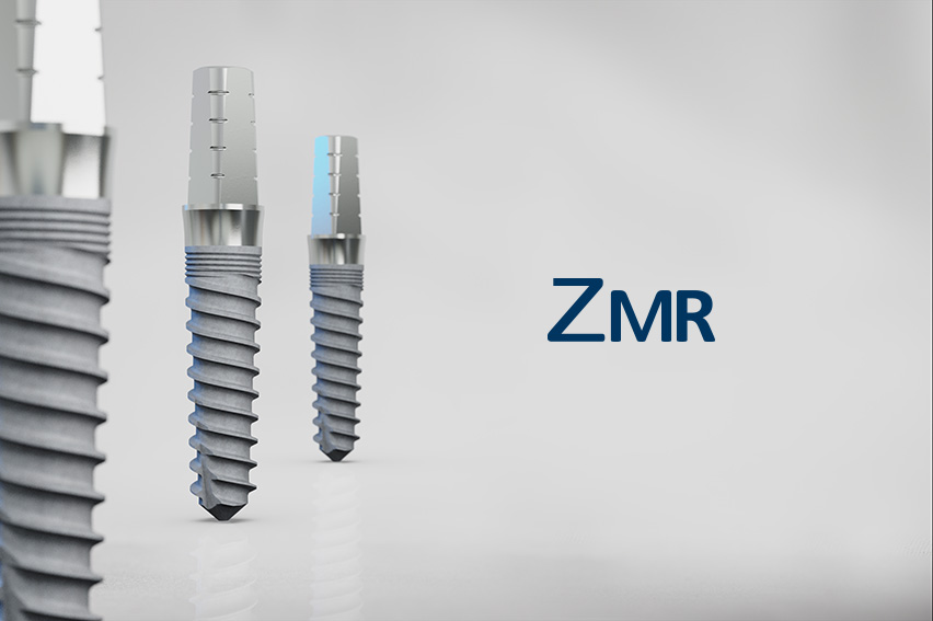 ZMR a tres en+Logo_web ZMR con logo