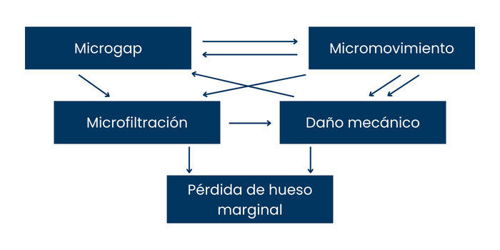 proliferación bacteriana y torque